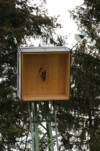 2023-SF-Sa-Vogelschiessen128